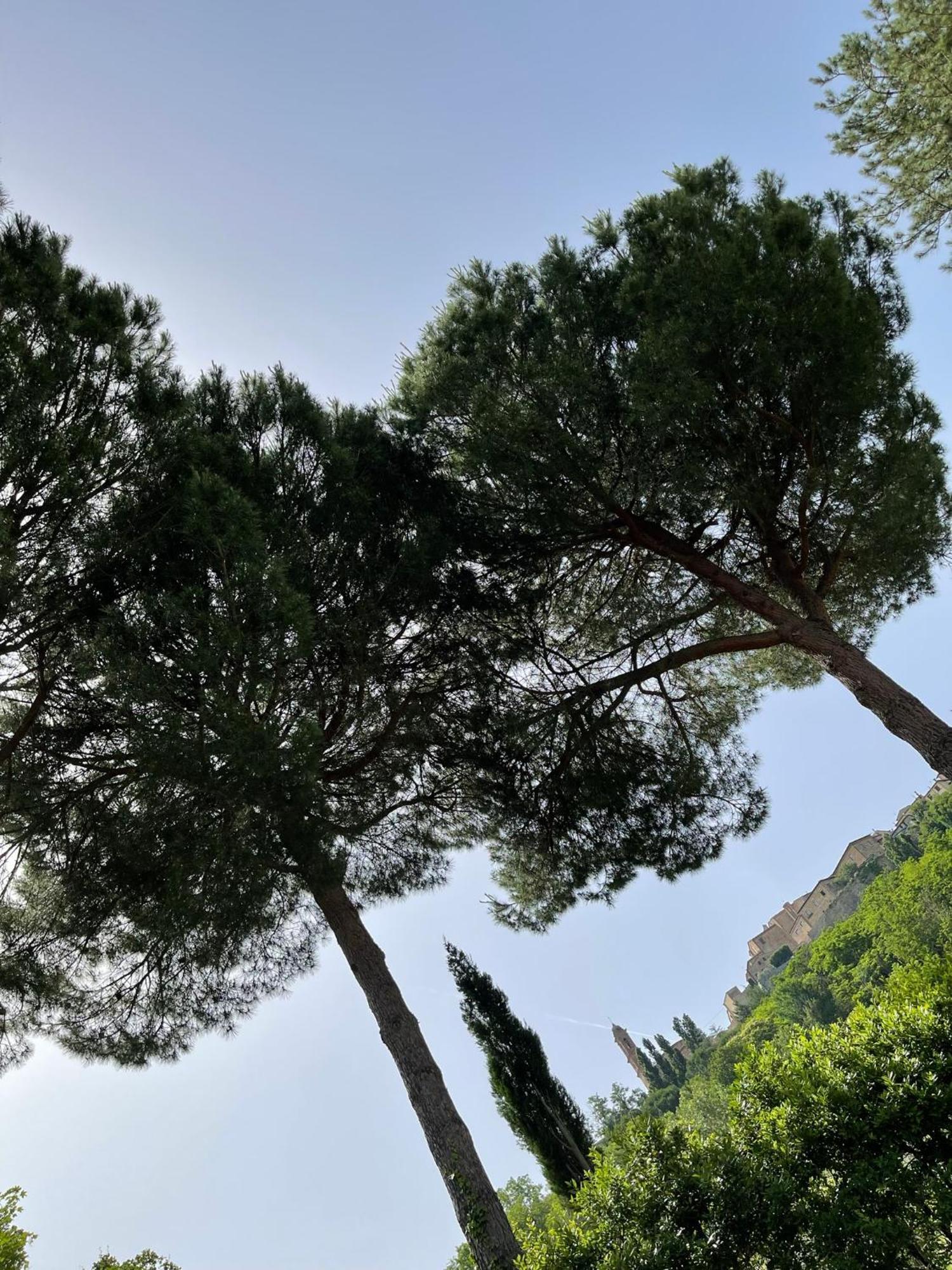 L' Aia Del Principe Βίλα Montepulciano Stazione Εξωτερικό φωτογραφία